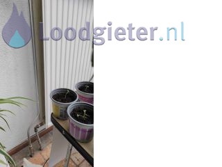 Loodgieter Amsterdam Radiator afdoppen